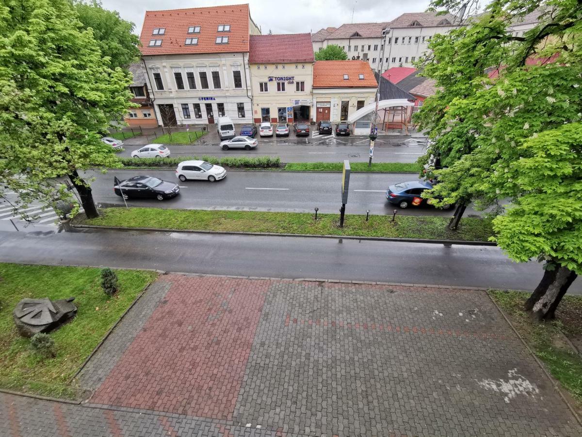 Pensiunea Stefan Bistriţa Exterior foto